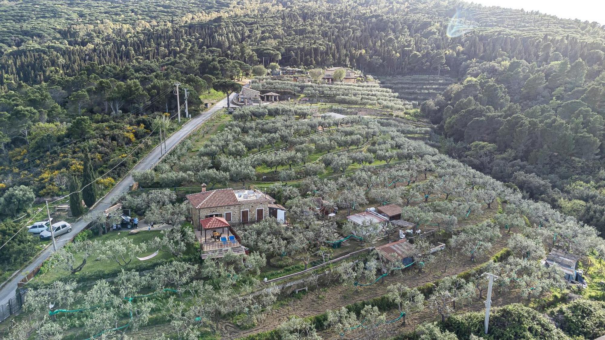 Bellezza In Cilento Panoramic Apts Кастеллабате Экстерьер фото