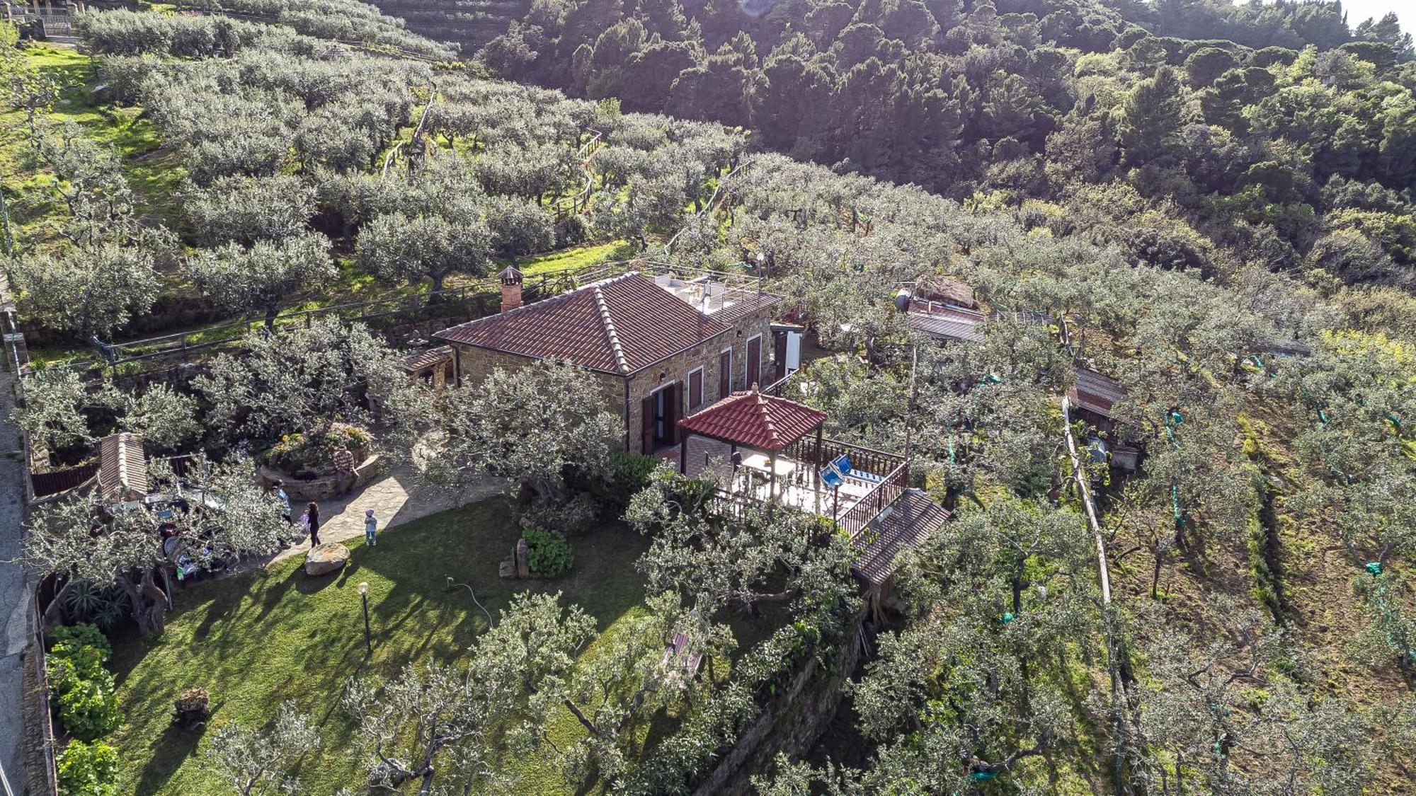 Bellezza In Cilento Panoramic Apts Кастеллабате Экстерьер фото